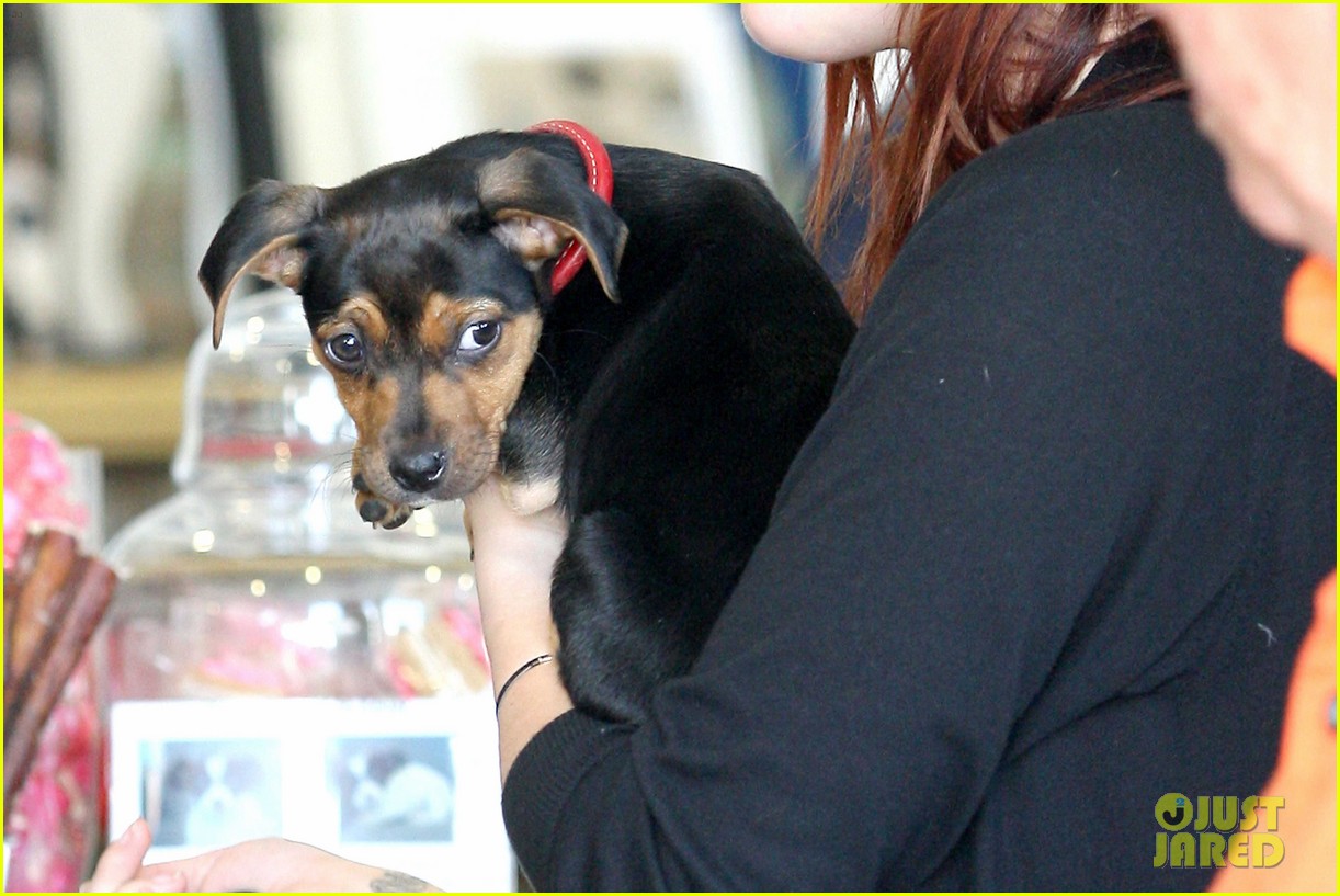 Rumer Willis: Help Me Name My Dog! | Rumer Willis Photos | Just Jared