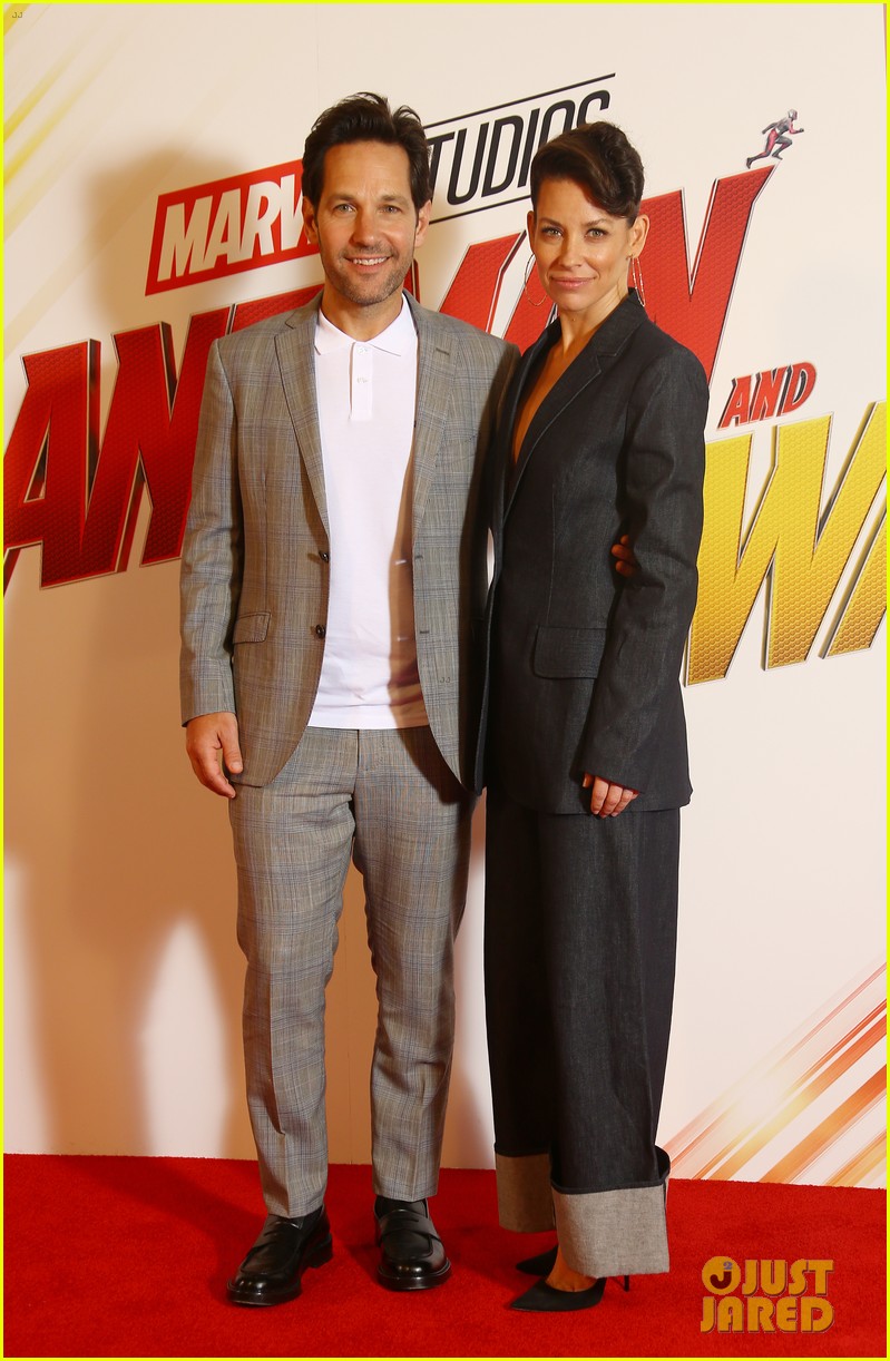 Full Sized Photo of paul rudd evangeline lilly continue ant man and the