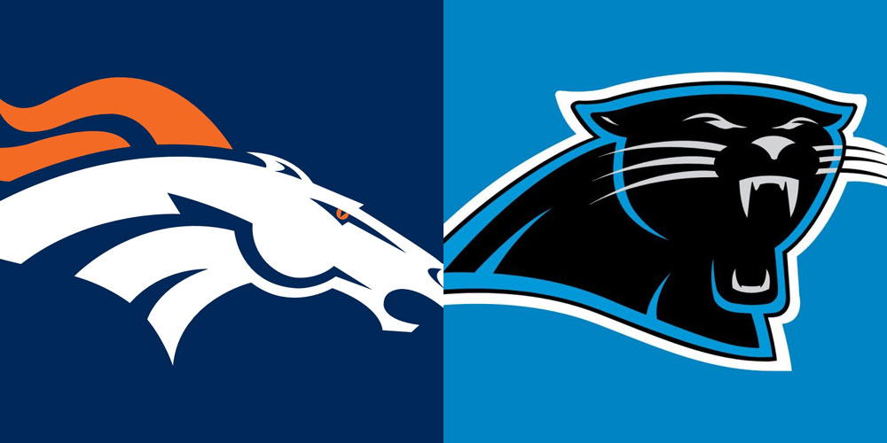 Broncos or Panthers: Who Will Win Super Bowl 2016? Vote Now