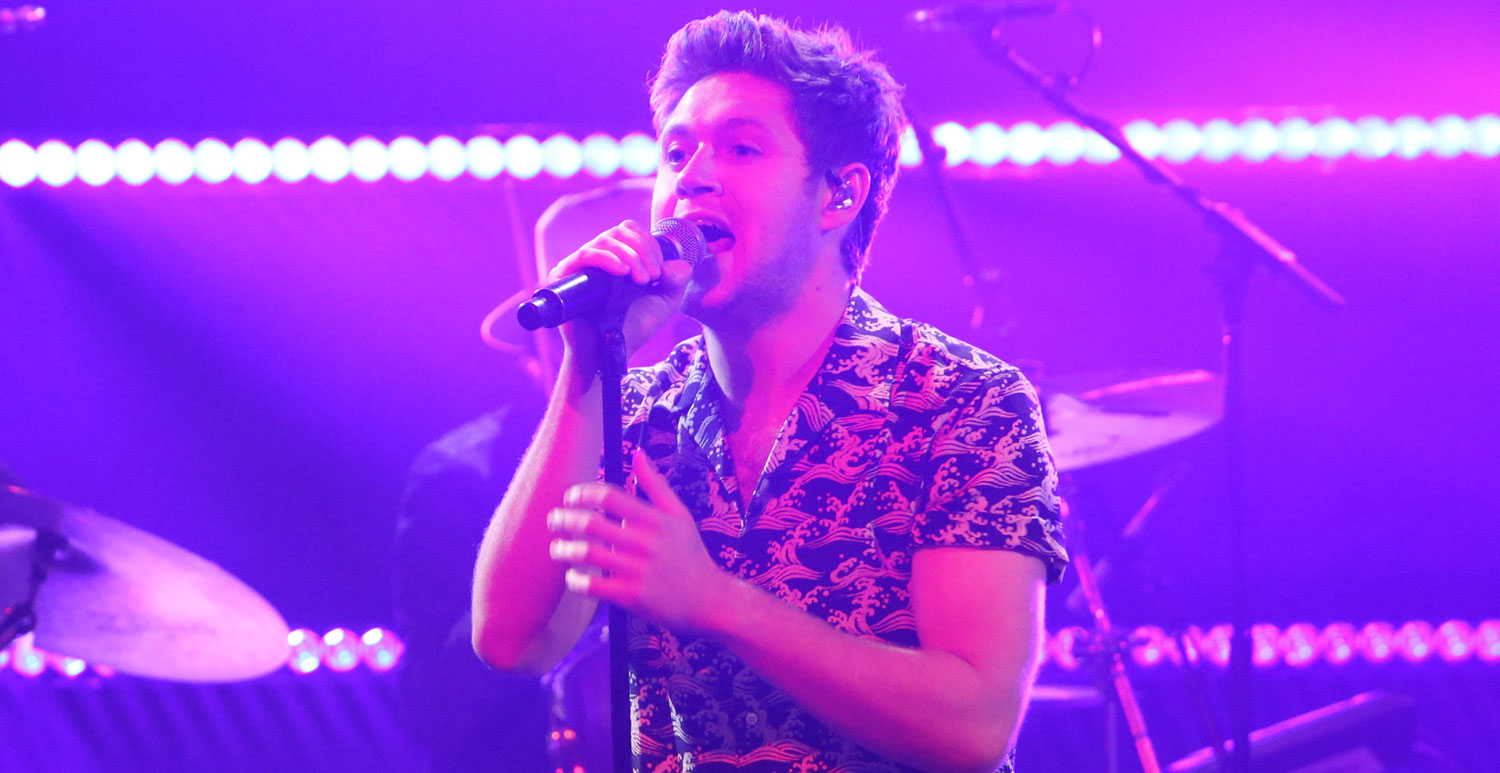 Niall Horan Belts Out 'Slow Hands' on 'The Ellen Show' (Video) - Just Jared